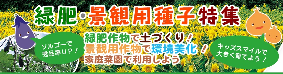 緑肥景観用種子特集 種 苗 球根 ガーデニング用品 農業資材の通販サイト タキイネット通販