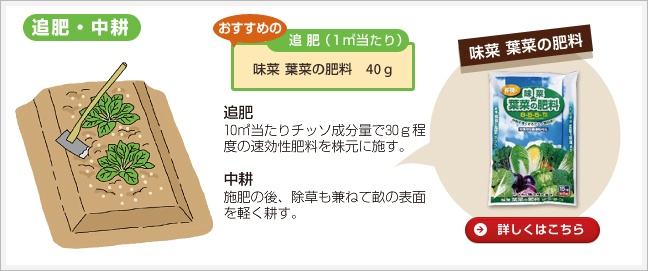 追肥・中耕
