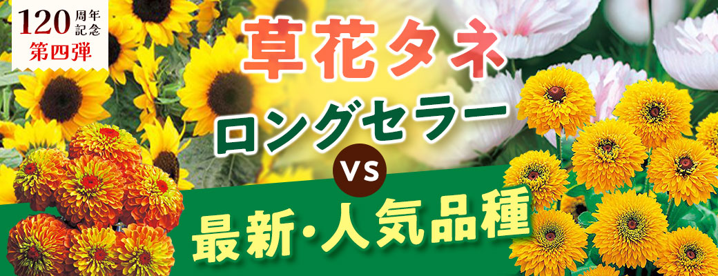 ロングセラーVS最新・人気品種