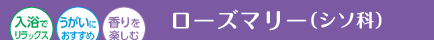 [Y}[(V\)