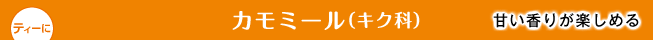 J~[(LN)