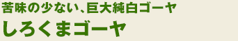 낭܃S[