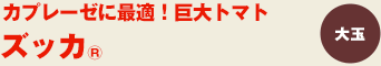 ズッカ®