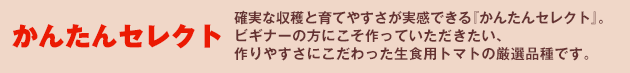 かんたんセレクト