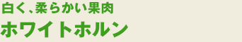 zCgz