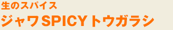 WSPICYgEKV