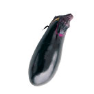 ƂЂiX