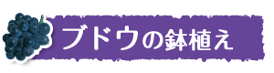 uhE̔A