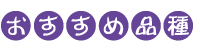 ߕi