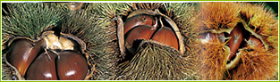 �I