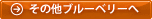 その他ブルーベリーへ