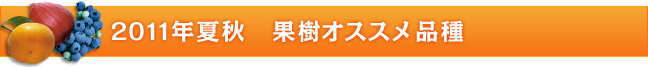 2011年夏秋 果樹オススメ品種