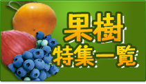 果樹特集一覧