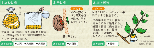 今が植え時！おすすめ果樹苗 | 種・苗・球根・ガーデニング用品・農業資材の通販サイト【タキイネット通販】