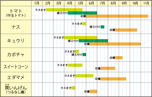 トマト 植え付け 時期