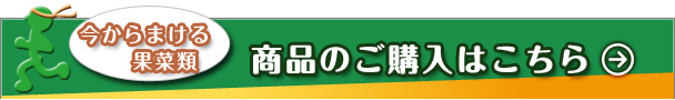 商品のご購入はこちら