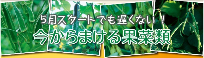 今からまける果菜類