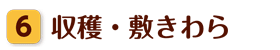 nE~