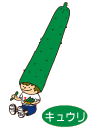 キュウリ