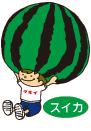 スイカ