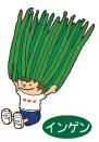 インゲン