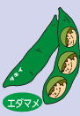 エダマメ