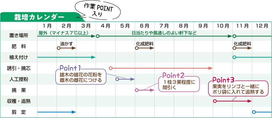 栽培カレンダー