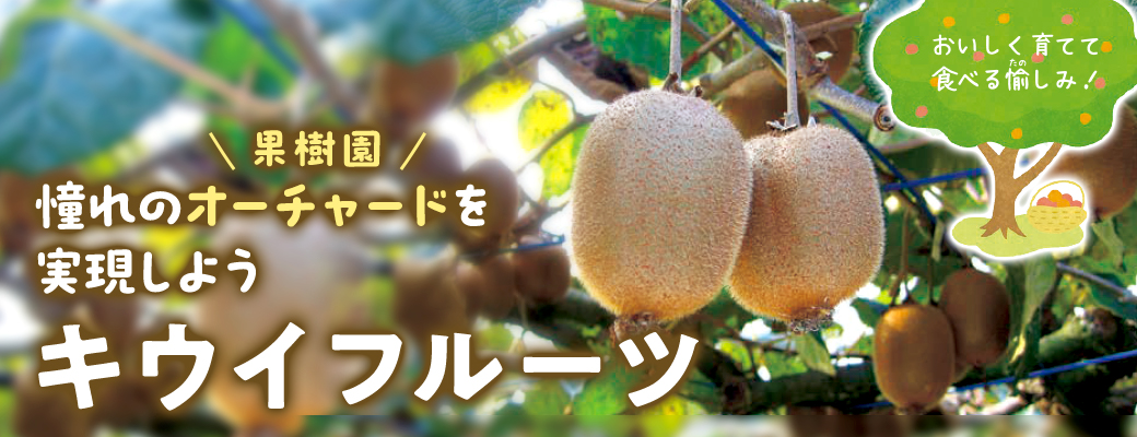 オーチャード キウイフルーツ