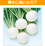 ɋJu@