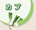 Ju