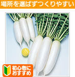 ꏊI΂₷@OY