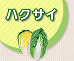 nNTC