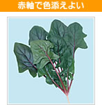 ԎŐFY悢@T_