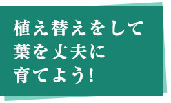 AւėtvɈĂ悤!