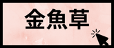 金魚草