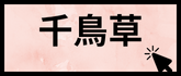 千鳥草