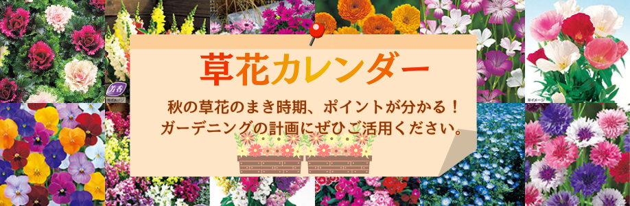 草花カレンダー