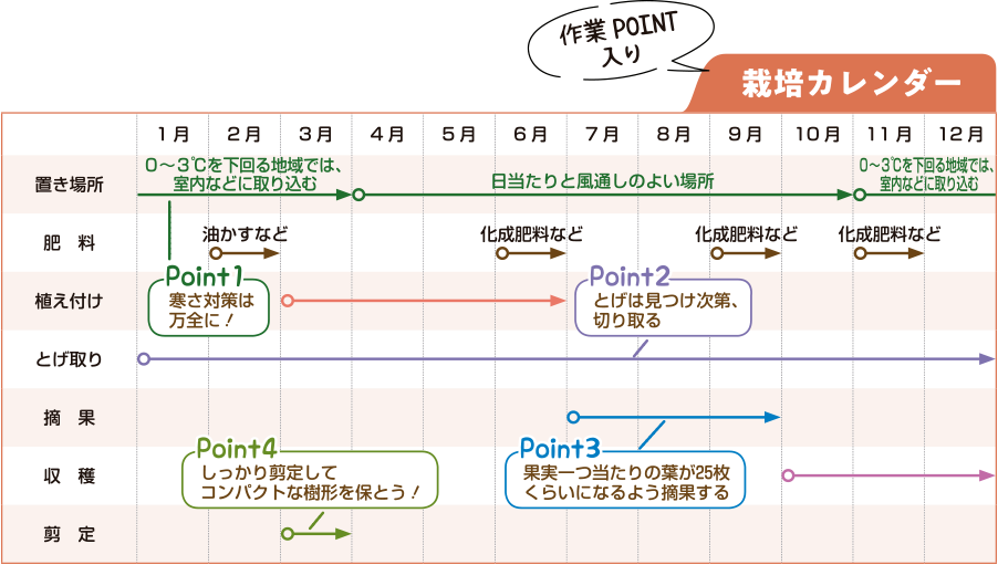 栽培カレンダー