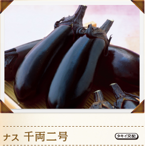 iX 痼