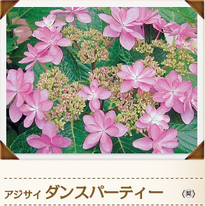 AWTC _Xp[eB[