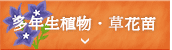 NAEԕc