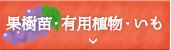 ʎcELpAE