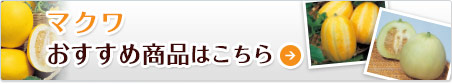 }N@ߏi͂