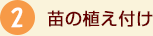 c̐At