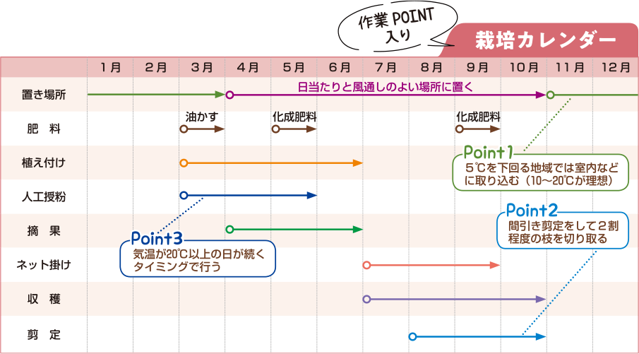 栽培カレンダー