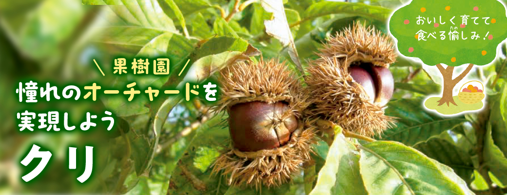 オーチャード クリ