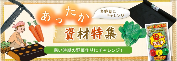 ޓW