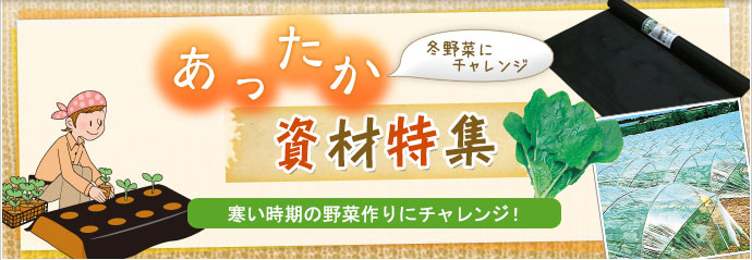 ޓW