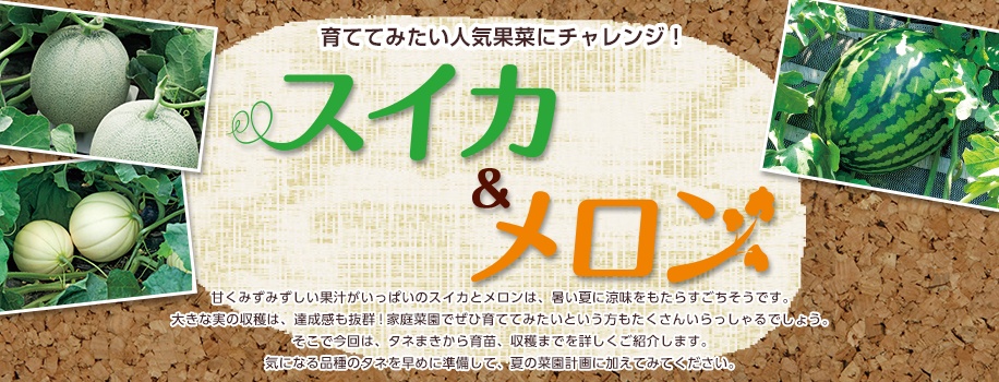 スイカ・メロン特集