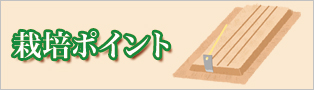 ͔||Cg